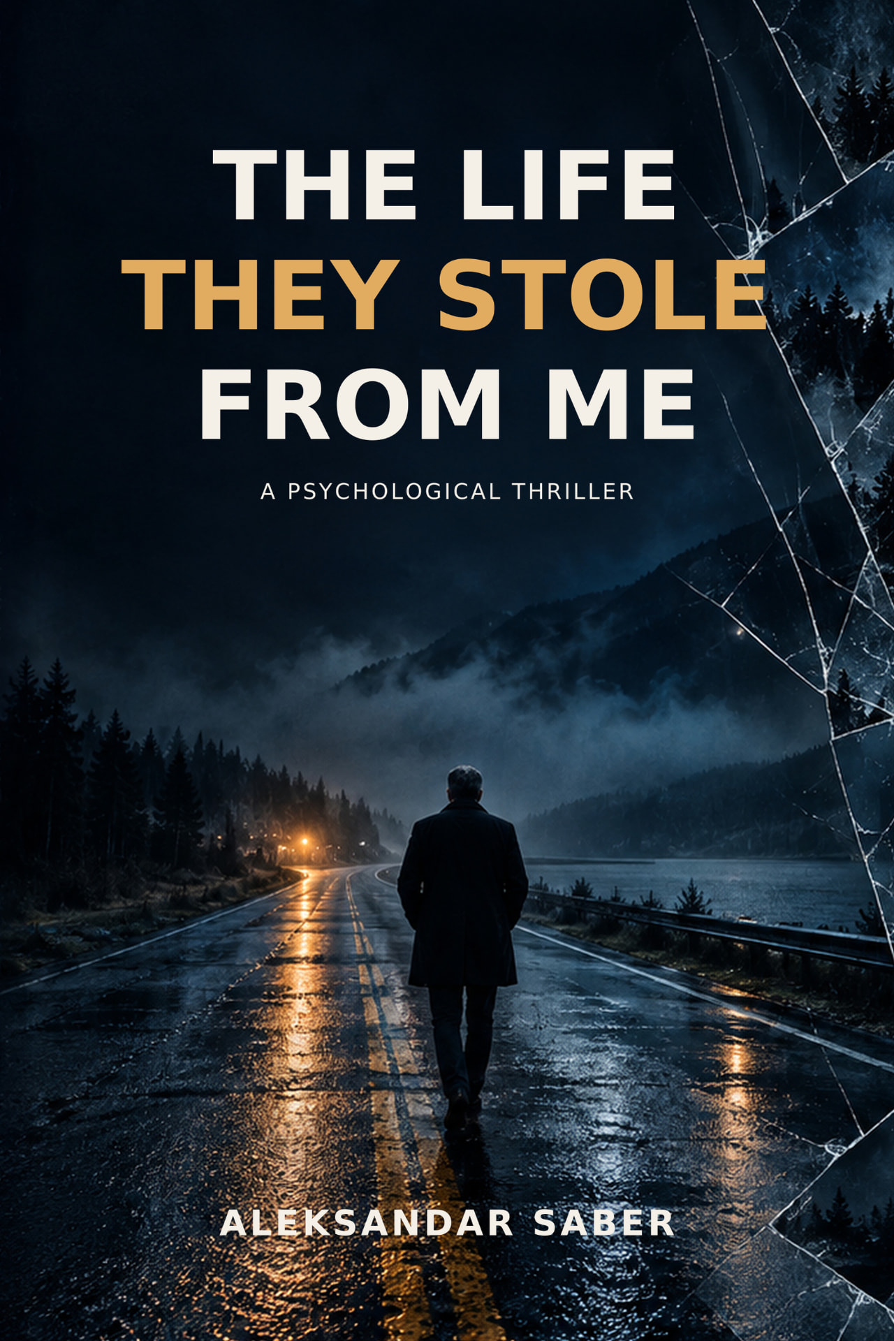 The Life They Stole From Me book cover