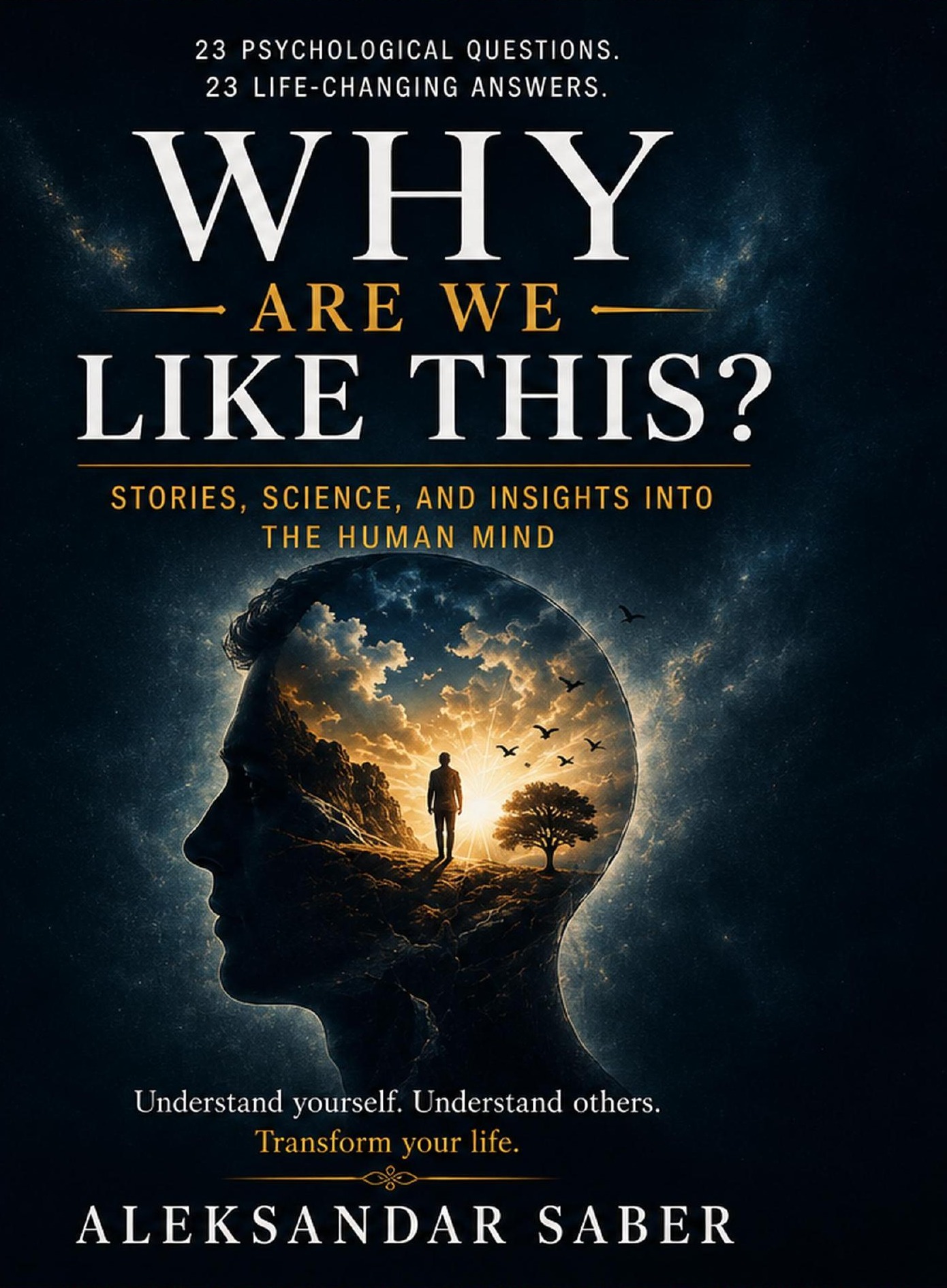 Why Are We Like This? book cover