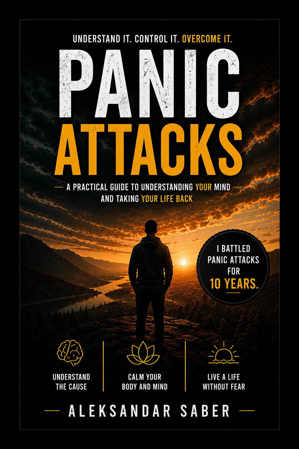 Panic Attacks book cover